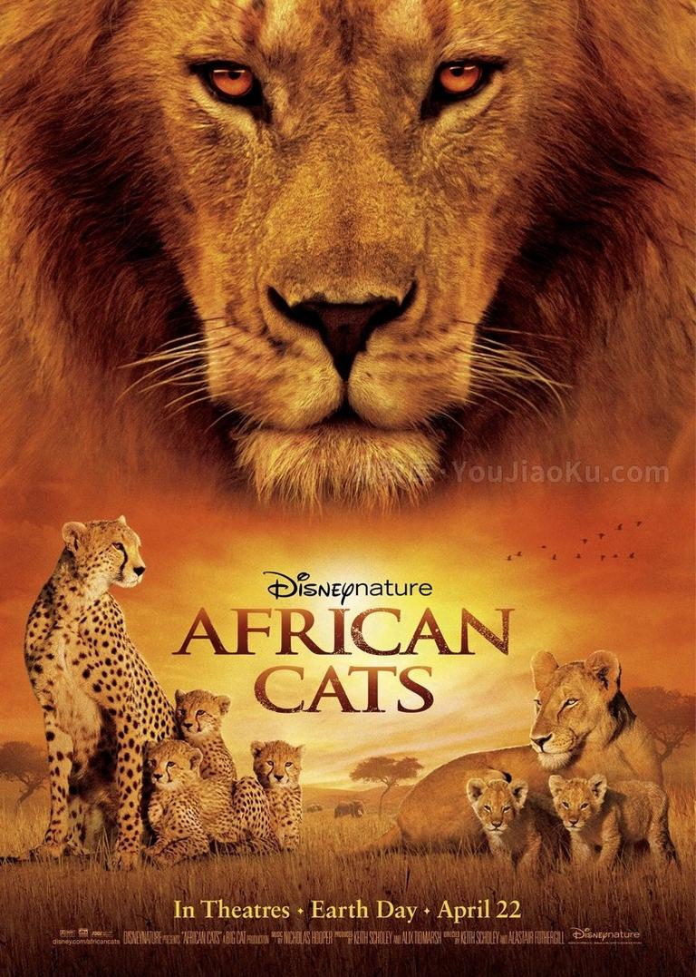 [图片1]-迪士尼纪录片《非洲猫科 African Cats》全1集 英语中英双字 1080P/MKV/9.24G 动画片非洲猫科全集下载插图-幼教社 - 专业的幼儿早教资料下载基地