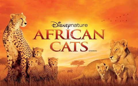 迪士尼纪录片《非洲猫科 African Cats》全1集 英语中英双字 1080P/MKV/9.24G 动画片非洲猫科全集下载