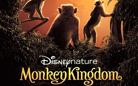 迪士尼纪录片《猴子王国 Monkey Kingdom》全1集 英语中英双字 720P/MKV/4.36 动画片猴子王国全集下载