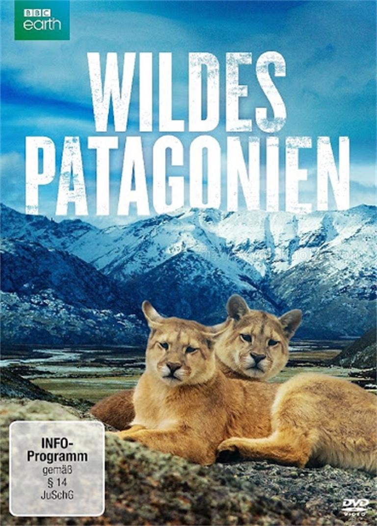 [图片1]-BBC纪录片《野性巴塔哥尼亚 Wild Patagonia》全3集 中英双语中字 720P/MKV/1.03 动画片野性巴塔哥尼亚全集下载插图-幼教社 - 专业的幼儿早教资料下载基地