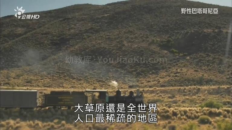 [图片5]-BBC纪录片《野性巴塔哥尼亚 Wild Patagonia》全3集 中英双语中字 720P/MKV/1.03 动画片野性巴塔哥尼亚全集下载插图-幼教社 - 专业的幼儿早教资料下载基地