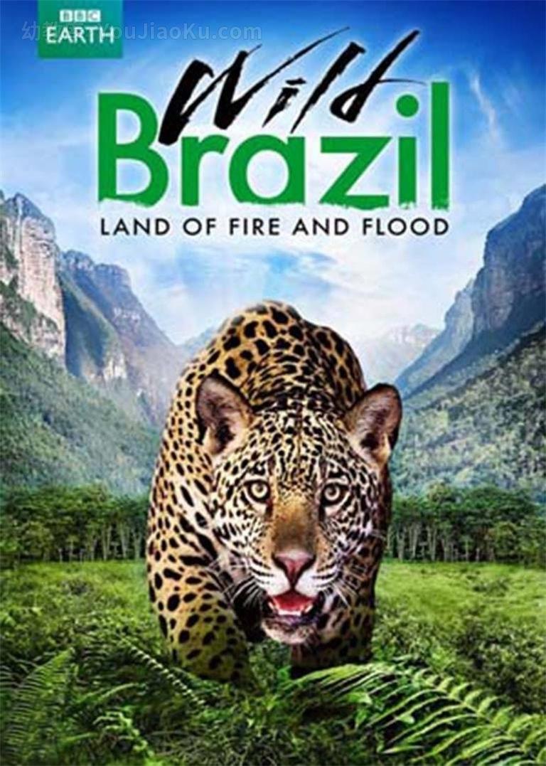 [图片1]-BBC自然地理纪录片《野性巴西 Wild Brazil》全3集 英语版 1080P/MKV/8.27G 动画片野性巴西全集下载插图-幼教社 - 专业的幼儿早教资料下载基地