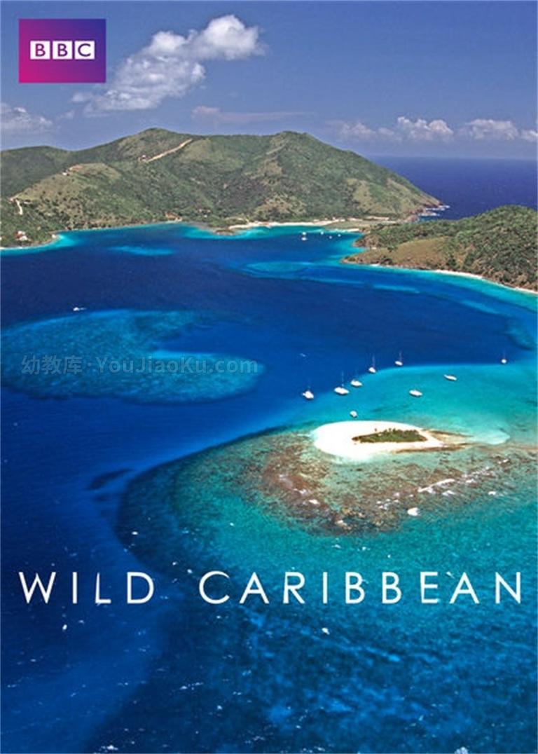 [图片1]-BBC探索发现纪录片《野性加勒比 Wild Caribbean》全4集 英语版 720P/MKV/4.26G 动画片野性加勒比全集下载插图-幼教社 - 专业的幼儿早教资料下载基地