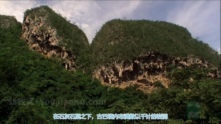 [图片4]-BBC探索发现纪录片《野性加勒比 Wild Caribbean》全4集 英语版 720P/MKV/4.26G 动画片野性加勒比全集下载插图-幼教社 - 专业的幼儿早教资料下载基地