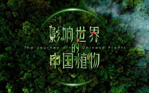 2019央视植物类纪录片《影响世界的中国植物》全10集 国语版 1080P/MP4/8.9G 动画片影响世界的中国植物全集下载