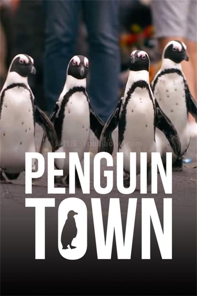 英语纪录片《企鹅小镇 Penguin Town》全8集 国语中英双字 1080P/MP4/7.20G 动画片企鹅小镇全集下载