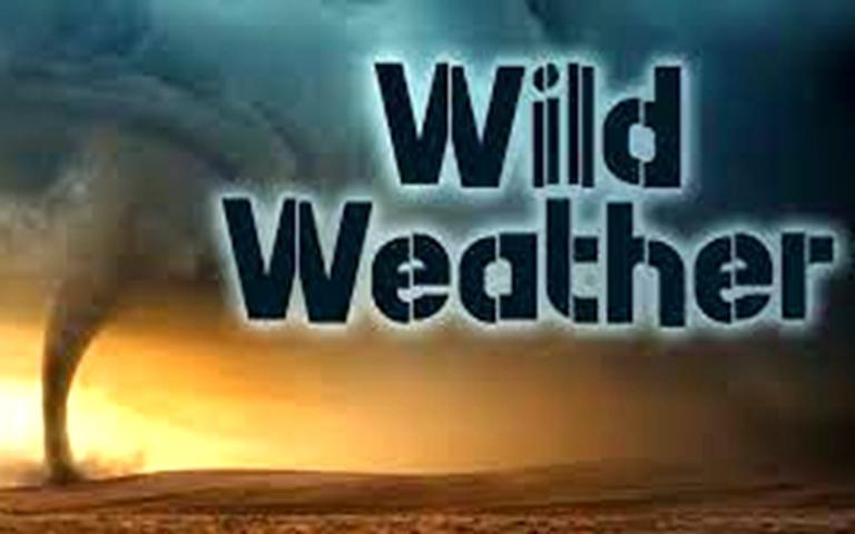 BBC纪录片《狂野天气探秘 Wild Weather》全3集 英语中字 720P/MP4/2.10G 动画片狂野天气探秘全集下载