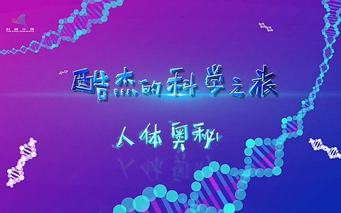 科普动画片《酷杰的科学之旅人体奥秘》全15集 国语版 1080P/MP4/1.19G 动画片酷杰的科学之旅人体奥秘下载