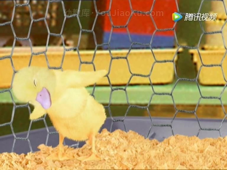 [图片3]-儿童动画片《神奇宠物救援队 Wonder Pets》全40集 国语版 高清/MP4/4.25G 动画片神奇宠物救援队全集下载插图-幼教社 - 专业的幼儿早教资料下载基地