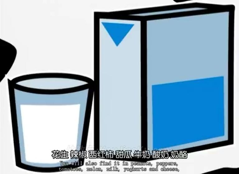 [图片3]-西班牙动画片《食物总动员 VITA MINIX》全104集 国语版 高清/MP4/872M 动画片食物总动员全集下载插图-幼教社 - 专业的幼儿早教资料下载基地