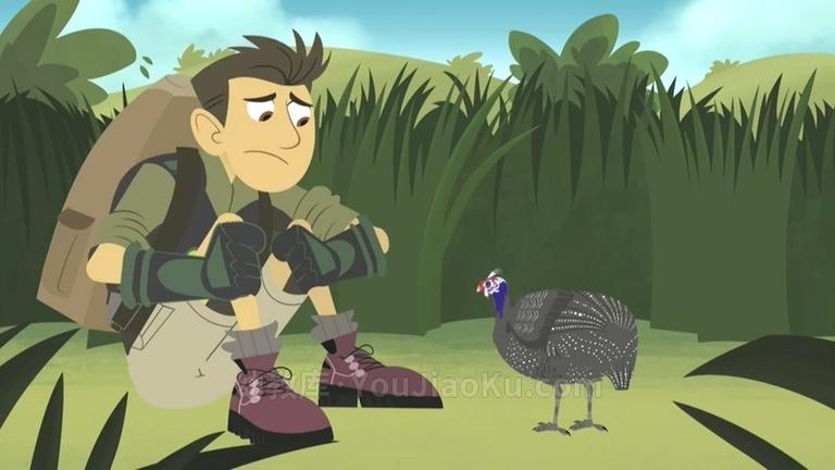 [图片2]-中文动画片《动物兄弟 Wild Kratts》第一季全40集 国语中英双字 720P/MP4/4.17G 动画片动物兄弟全集下载插图-幼教社 - 专业的幼儿早教资料下载基地