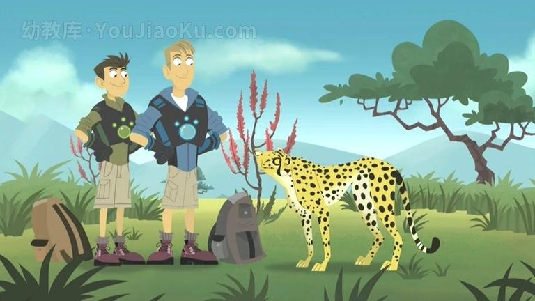 [图片5]-中文动画片《动物兄弟 Wild Kratts》第一季全40集 国语中英双字 720P/MP4/4.17G 动画片动物兄弟全集下载插图-幼教社 - 专业的幼儿早教资料下载基地