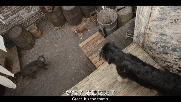 [图片2]-迪士尼动画电影《新小姐与流浪汉 Lady and the Tramp 2019》英语中英双字 720P/MP4/2.12G 动画片小姐与流浪汉下载插图-幼教社 - 专业的幼儿早教资料下载基地