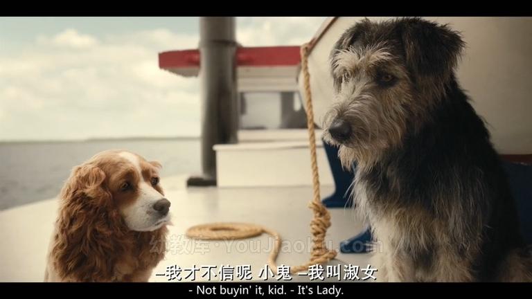 [图片4]-迪士尼动画电影《新小姐与流浪汉 Lady and the Tramp 2019》英语中英双字 720P/MP4/2.12G 动画片小姐与流浪汉下载插图-幼教社 - 专业的幼儿早教资料下载基地