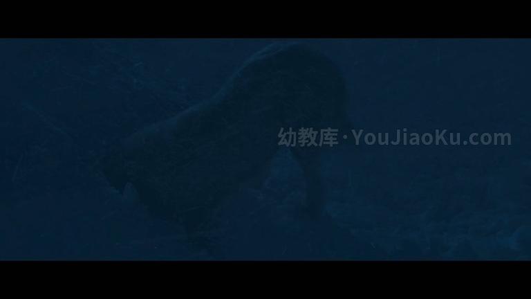 [图片4]-法国动画电影《灵犬雪莉3 Belle et Sébastien 2018》英语中字 1080P/MP4/2.91G 法国动画电影灵犬雪莉3下载插图-幼教社 - 专业的幼儿早教资料下载基地