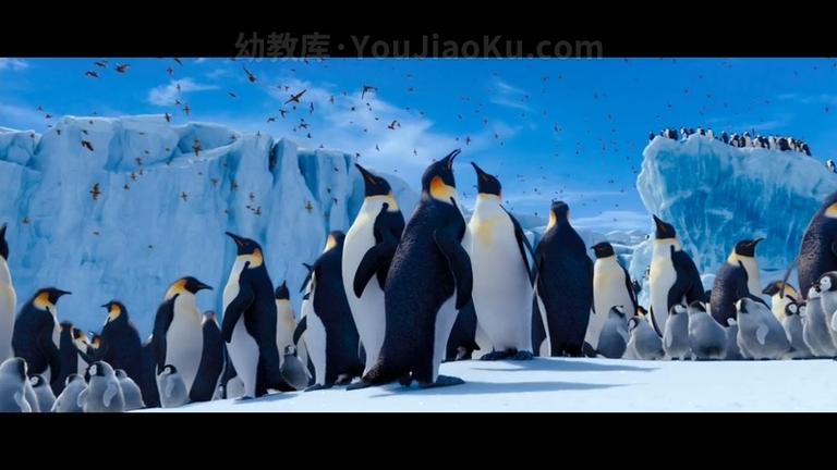 [图片5]-澳大利亚动画电影《快乐的大脚2 Happy Feet Two 2011》英语中英双字 720P/MKV/2.18G 动画片快乐的大脚下载插图-幼教社 - 专业的幼儿早教资料下载基地