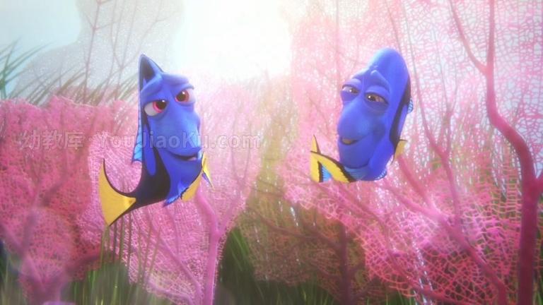 [图片5]-动画电影《海底总动员2：多莉去哪儿 Finding Dory》国语版 1080P/MKV/3.72G 动画电影海底总动员2：多莉去哪儿下载插图-幼教社 - 专业的幼儿早教资料下载基地