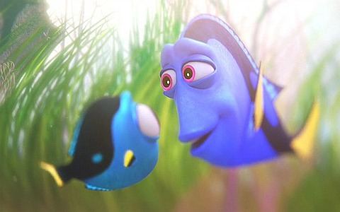 动画电影《海底总动员2：多莉去哪儿 Finding Dory》国语版 1080P/MKV/3.72G 动画电影海底总动员2：多莉去哪儿下载