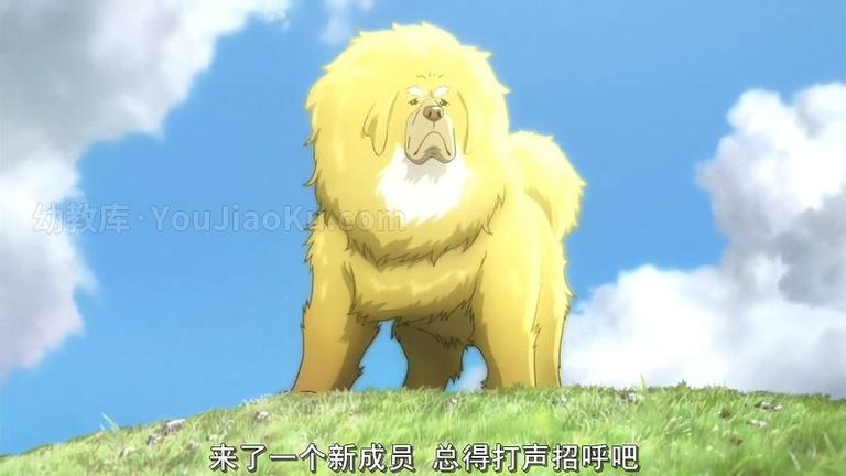 [图片3]-动画冒险电影《藏獒多吉 The Tibetan Dog》国语版 720P/MKV/975M 动画电影藏獒多吉下载插图-幼教社 - 专业的幼儿早教资料下载基地