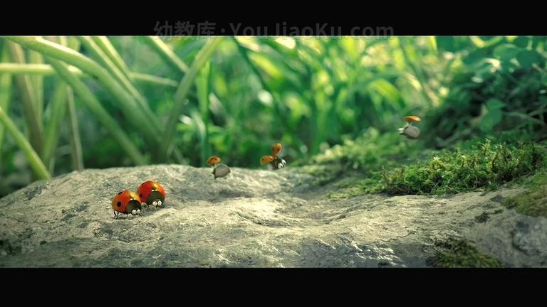 [图片2]-动画冒险电影《昆虫总动员  Minuscule: la Vallée des Fourmis Perdues 》英文版 高清/RMVB/988M 动画电影昆虫总动员下载插图-幼教社 - 专业的幼儿早教资料下载基地