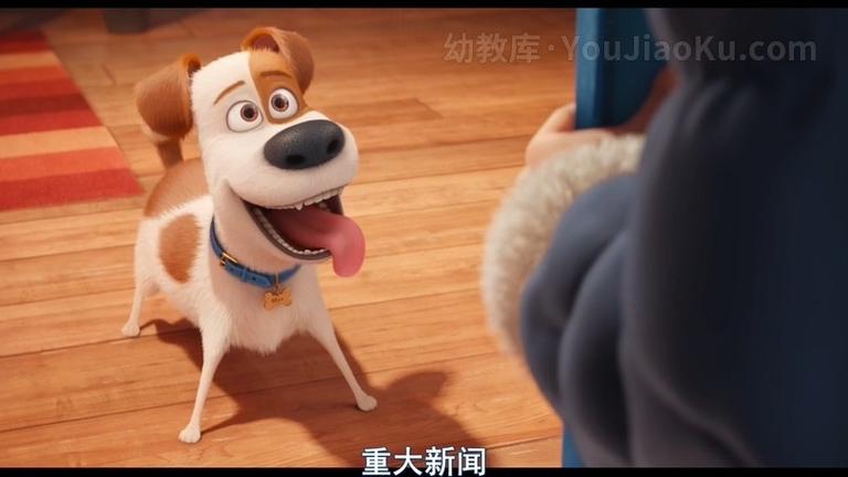 [图片4]-动画电影《爱宠大机密 The Secret Life of Pets》国语中字 720P/MP4/1.27G 动画电影爱宠大机密下载插图-幼教社 - 专业的幼儿早教资料下载基地