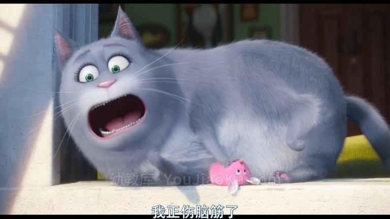 [图片5]-动画电影《爱宠大机密 The Secret Life of Pets》国语中字 720P/MP4/1.27G 动画电影爱宠大机密下载插图-幼教社 - 专业的幼儿早教资料下载基地