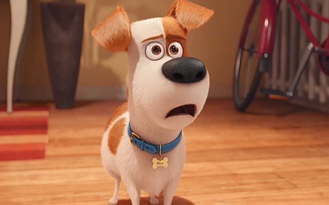 动画电影《爱宠大机密 The Secret Life of Pets》国语中字 720P/MP4/1.27G 动画电影爱宠大机密下载