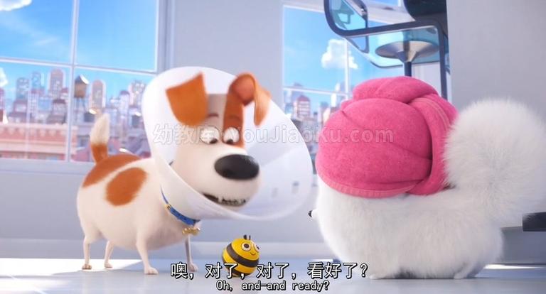 [图片2]-动画电影《爱宠大机密2  The Secret Life of Pets 2》中英双语 1080P/MP4/2.36G 动画电影爱宠大机密2 下载插图-幼教社 - 专业的幼儿早教资料下载基地