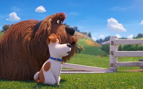 动画电影《爱宠大机密2  The Secret Life of Pets 2》中英双语 1080P/MP4/2.36G 动画电影爱宠大机密2 下载