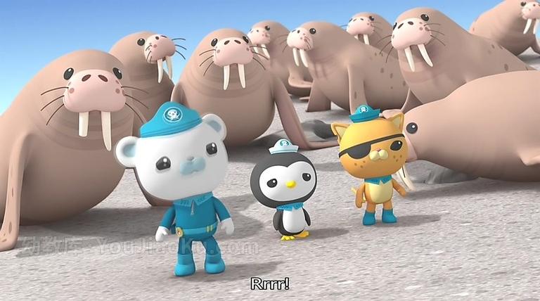 [图片3]-英文动画片《海底小纵队 Octonauts》第四季全10集 英文版 720P/MP4/1.84GB 动画片海底小纵队全集下载插图-幼教社 - 专业的幼儿早教资料下载基地