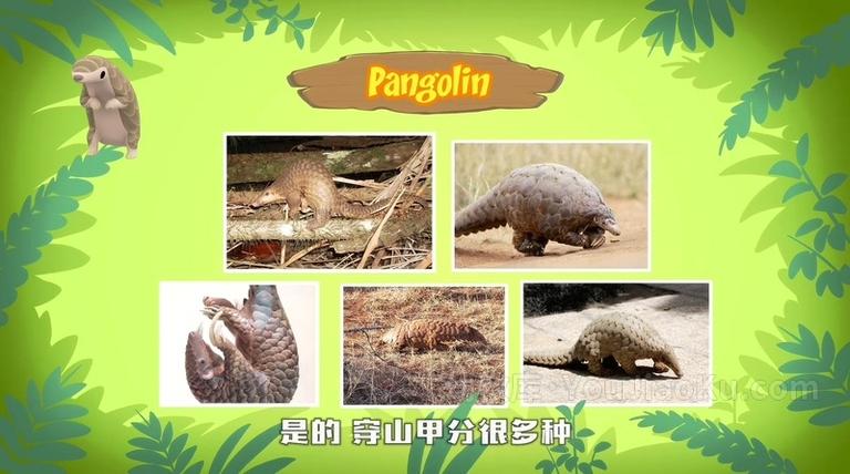 [图片2]-新加坡动画片《动物小游侠 Leo The Wildlife Ranger》全60集 国语版60集+英语版60集 1080P/MP4/7.6G 动画片动物小游侠下载插图-幼教社 - 专业的幼儿早教资料下载基地