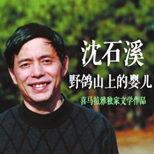 儿童文学《沈石溪：野鸽山上的婴儿》全44集MP3下载 沈石溪：野鸽山上的婴儿百度云网盘