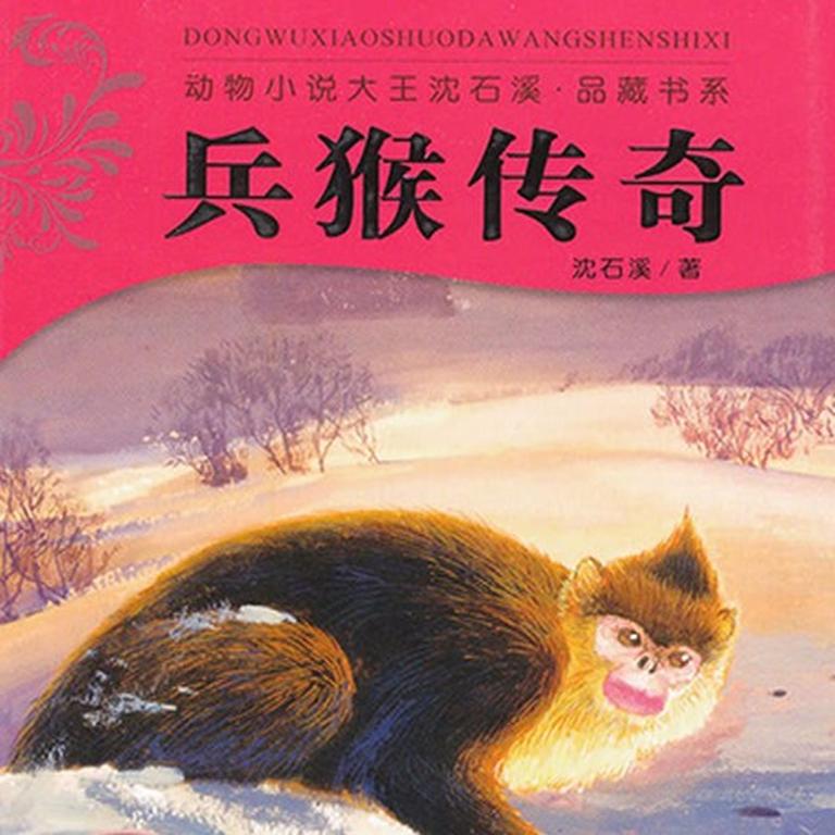 [图片1]-儿童文学《沈石溪：兵猴传奇》全36集MP3下载 沈石溪系列动物小说百度云网盘插图-幼教社 - 专业的幼儿早教资料下载基地