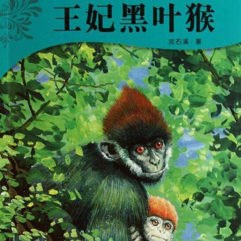 [图片1]-科普百科《沈石溪：王妃黑叶猴》全43集MP3下载 沈石溪系列动物小说百度云网盘插图-幼教社 - 专业的幼儿早教资料下载基地