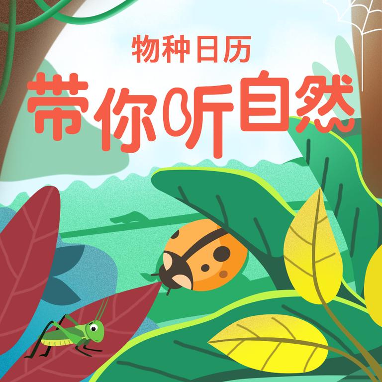 [图片1]-科普百科《果壳：给孩子的自然百科400讲》全408集MP3下载 教育百度云网盘插图-幼教社 - 专业的幼儿早教资料下载基地