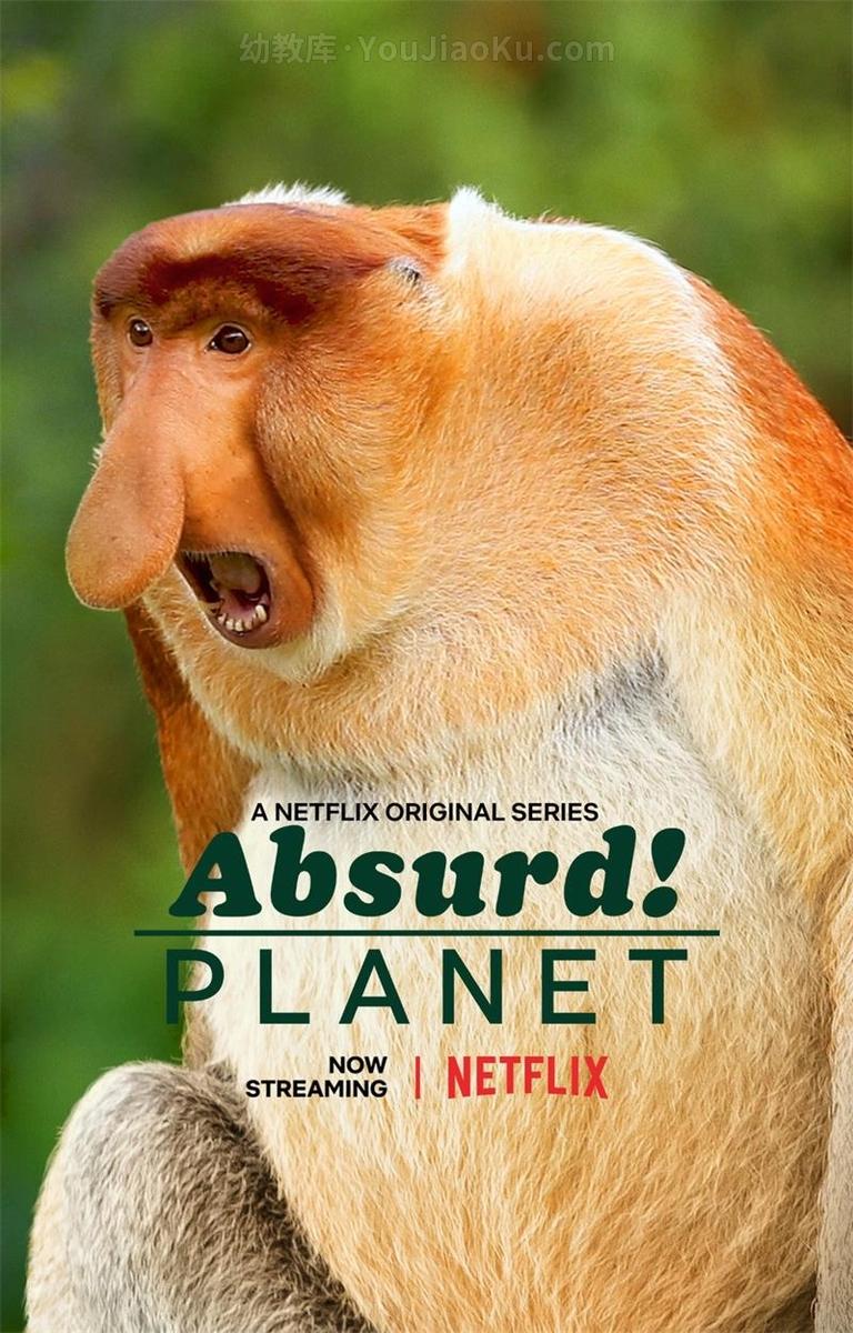 [图片1]-Netflix纪录片《怪诞星球 Absurd.Planet 2020》第1季全12集 英语中字 1080P/MP4/12.7G 地球上最不可思议的动物插图-幼教社 - 专业的幼儿早教资料下载基地