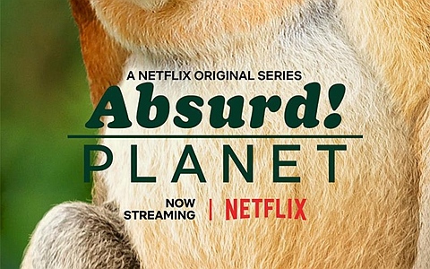 Netflix纪录片《怪诞星球 Absurd.Planet 2020》第1季全12集 英语中字 1080P/MP4/12.7G 地球上最不可思议的动物