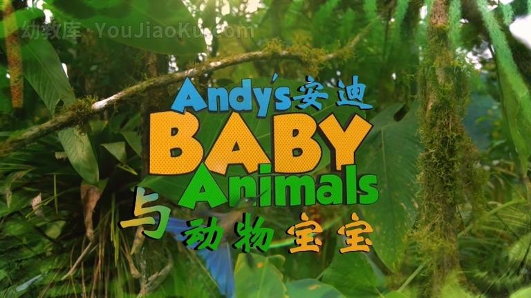 [图片1]-BBC科普动画片《安迪的动物宝宝 Andy’s Baby Animals》全20集 国语中字 1080P/MP4/2.13G 儿童科普动画片下载插图-幼教社 - 专业的幼儿早教资料下载基地