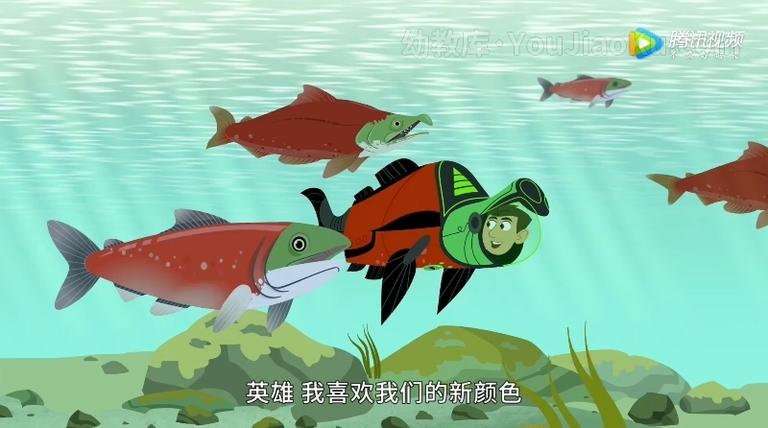 [图片3]-中文动画片《动物兄弟 Wild Kratts》第五季全20集 国语中字 1080P/MP4/4.24G 动画片动物兄弟全集下载插图-幼教社 - 专业的幼儿早教资料下载基地