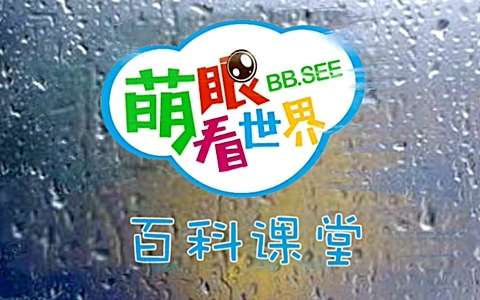 自然百科节目《萌眼看世界》16大主题全205集 国语中字 720P/MP4/15.40G 动画片萌眼看世界全集下载