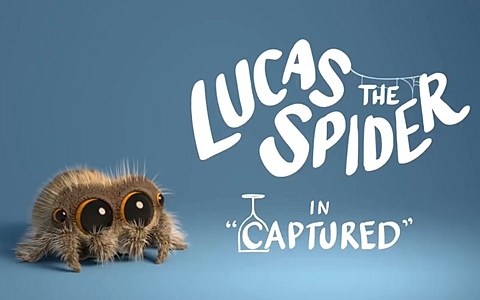 搞笑动画片《小蜘蛛卢卡斯 Lucas the Spider》全24集 英语英字 720P/MP4/45.2M 动画片小蜘蛛卢卡斯全集下载