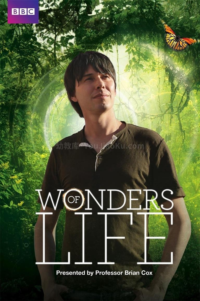 [图片1]-BBC纪录片《生命的奇迹  Wonders of Life》全5集 英语中英双字 720P/MKV/7.8G 动画片生命的奇迹全集下载插图-幼教社 - 专业的幼儿早教资料下载基地