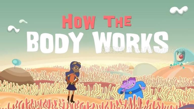 [图片1]-健康教育短片《你的身体是如何工作的 How your body work》全18集 英语版 720P/MP4/367M 动画片你的身体是如何工作的全集下载插图-幼教社 - 专业的幼儿早教资料下载基地