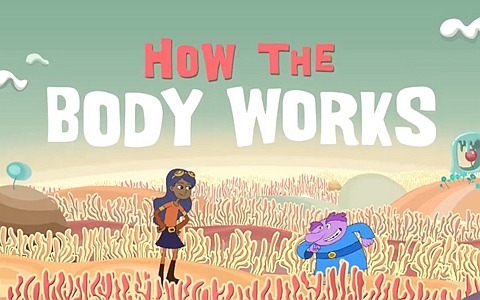 健康教育短片《你的身体是如何工作的 How your body work》全18集 英语版 720P/MP4/367M 动画片你的身体是如何工作的全集下载